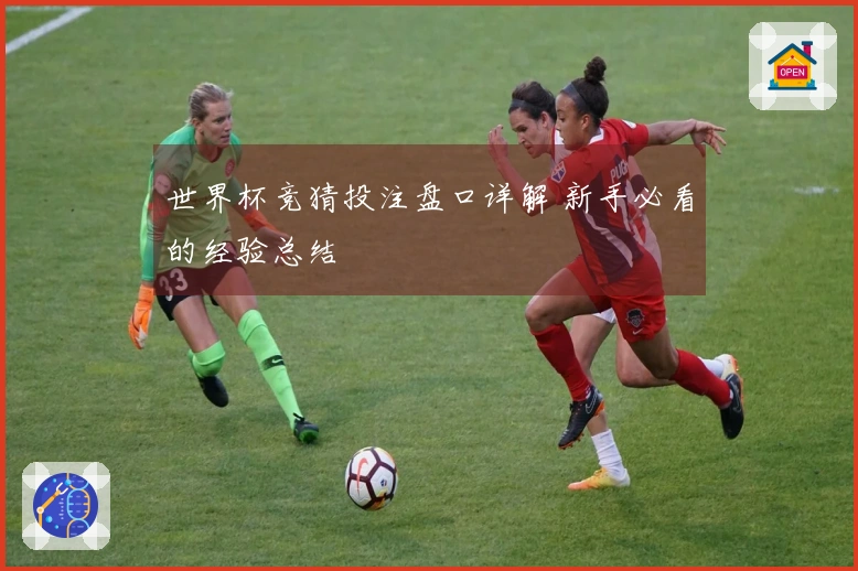 世界杯竞猜投注盘口详解 新手必看的经验总结