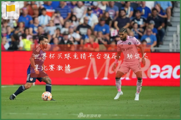 世界杯买球竞猜平台推荐，助你尽享比赛激情